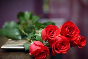 Download Rose Day Whats App Dps, Valentine Wallpapers, red Rose Bunch
