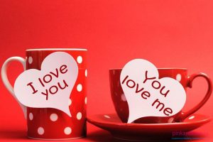 Happy Valentine Day Pictures, Whatsapp Images, Facebook Profile Pic