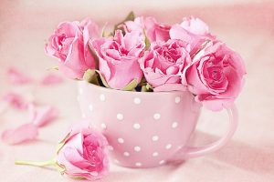 Download Rose Day Whats App Dps, Valentine Wallpapers, Pink Rose with Mug