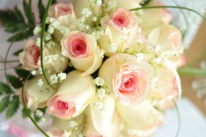 pink-and-blue-white-rose-day-bunch-wallpaper