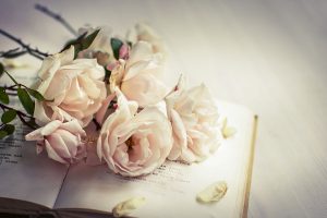 pink-and-blue-white-rose-day-with-a-letter