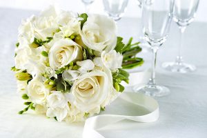 Download Rose Day Whats App Dps, Valentine Wallpapers, White Rose