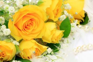 Download Rose Day Whats App Dps, Valentine Wallpapers, Yellow Rose